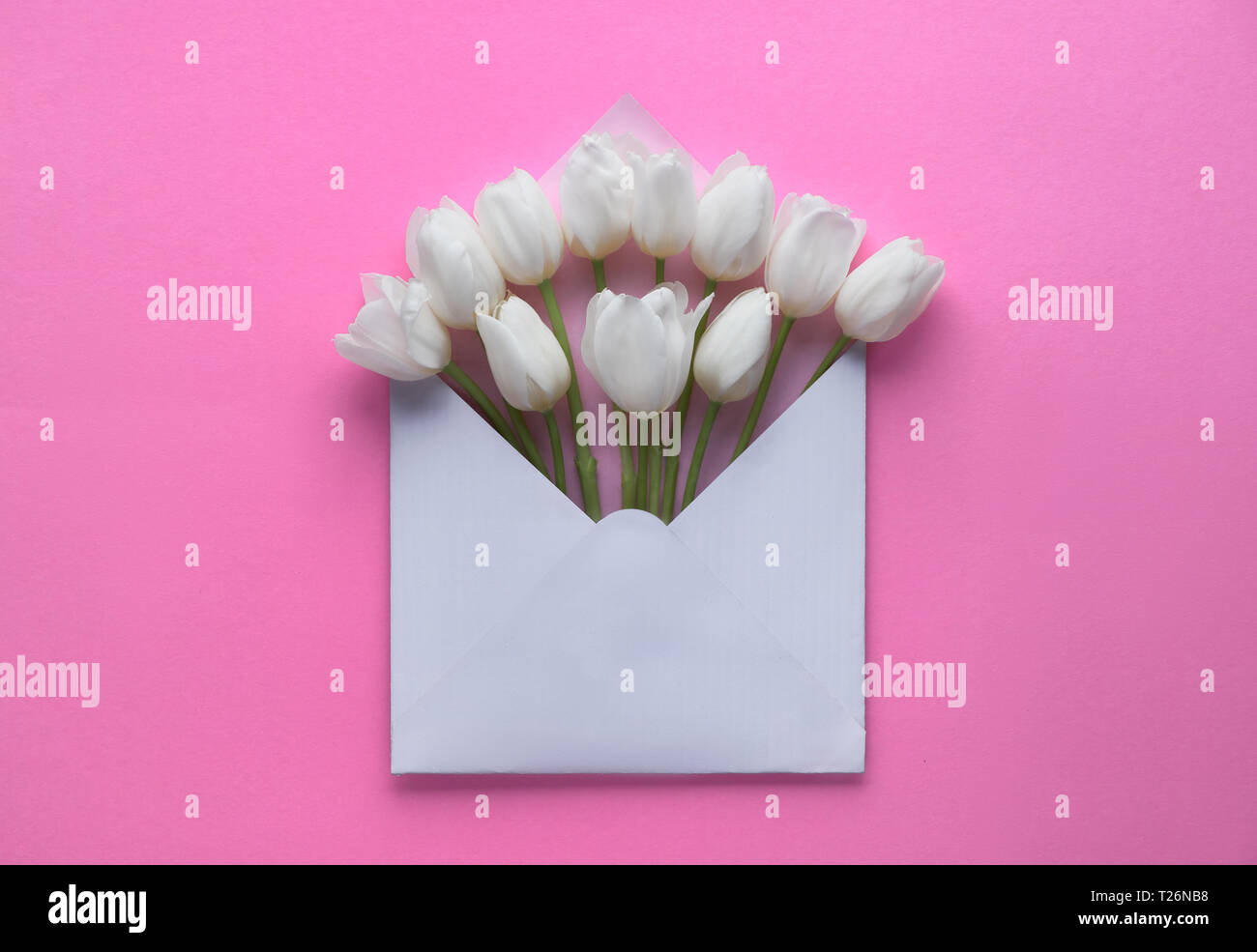 Télévision printemps tulipes blanches, laïcs dans l'enveloppe blanche sur fond de papier rose, copiez-space Banque D'Images