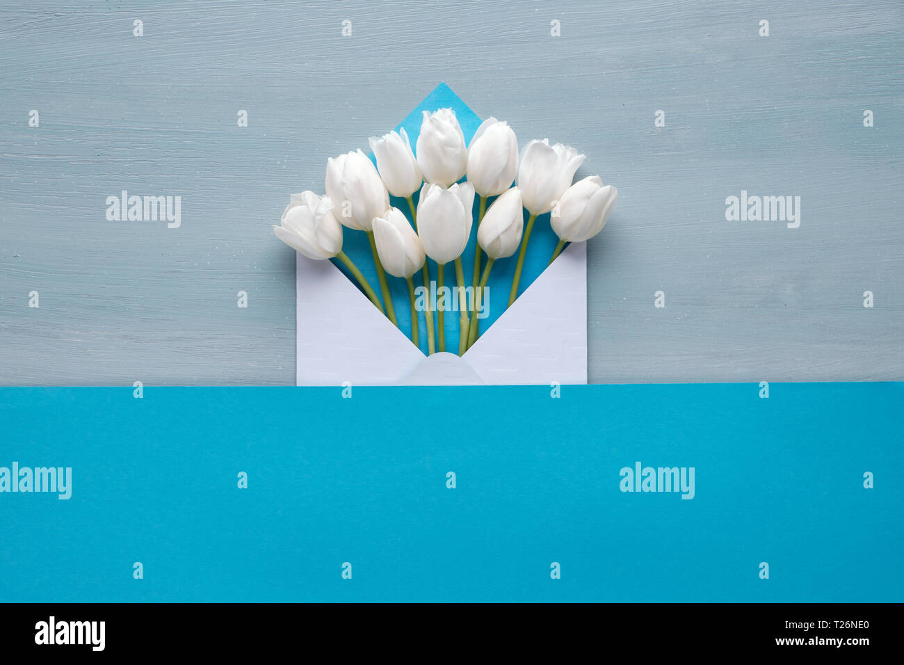 Télévision printemps tulipes blanches, laïcs dans l'enveloppe blanche sur fond bleu, du bois et du papier copie-space Banque D'Images