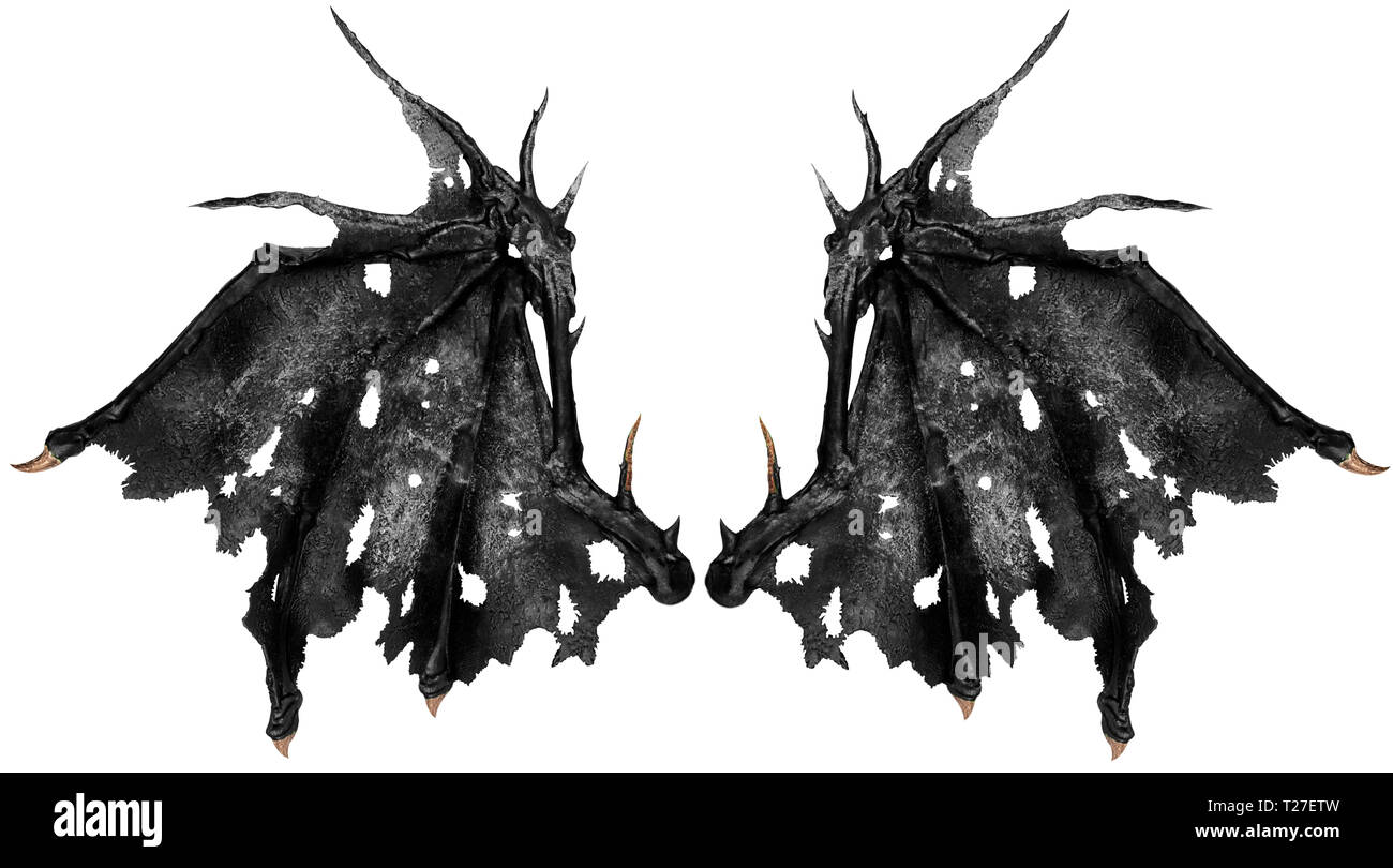 Close up sur dragon ailes isolé sur fond blanc. Cut out. Banque D'Images