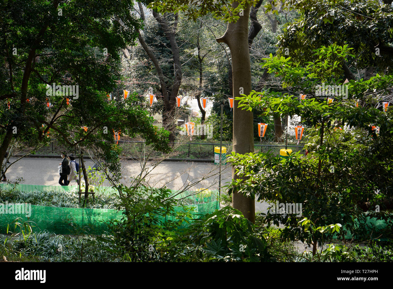 Il y a des milliers de différents arbres à Ueno parc public. Malgré la foule de gens qui visitent le parc chaque jour, il s'est toujours un endroit très reposant. Banque D'Images