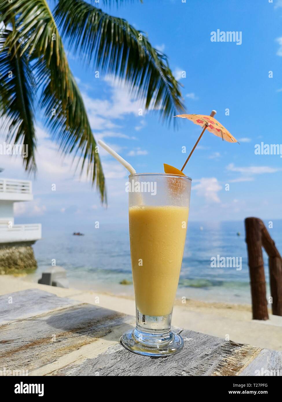Mangue Fraiche Et Secouer Un Cocotier Sur Le Contexte Et Le Ciel Bleu Photo Stock Alamy