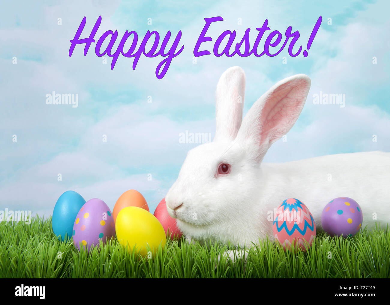 Portrait de profil Vue d'un lapin albinos blanc laying in grass avec oeufs de Pâques décorés. Peinture bleu fond de ciel. Joyeuses Pâques text Banque D'Images