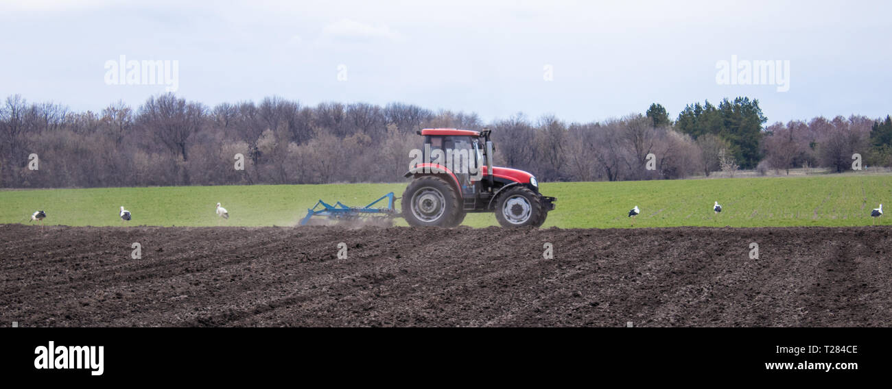 Le tracteur cultive la terre et les graines de plantes dans le champ au printemps. La mécanisation de l'agriculture. Banque D'Images