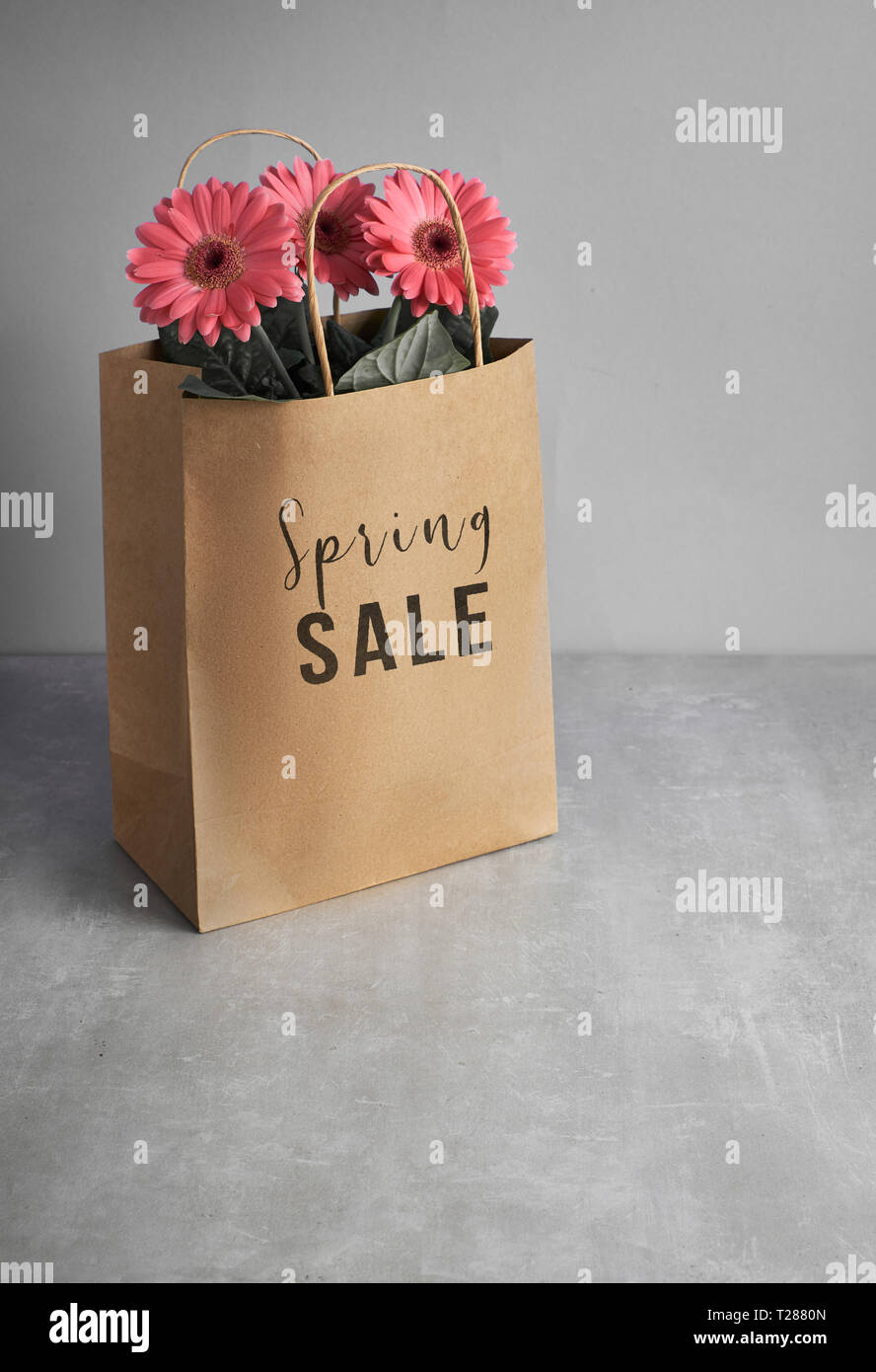 Gerbera fleurs corail daisy et d'artisanat sacs papper sur papier vert, fond printemps vente concept image avec texte 'Spring sale' sur le sac Banque D'Images