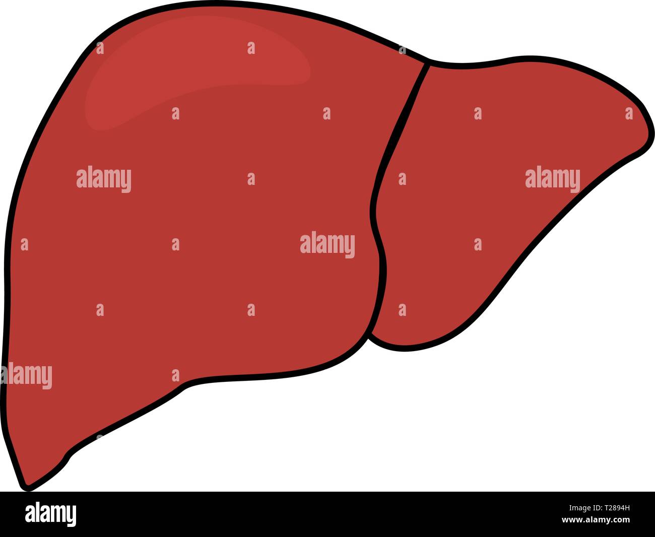 Le foie humain abstrait Illustration de Vecteur