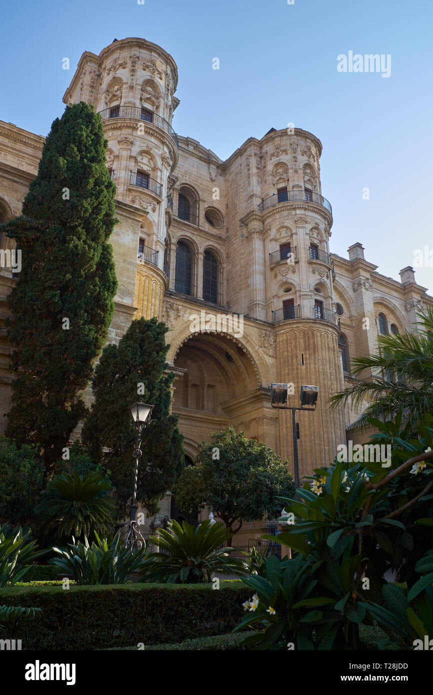 Cathédrale de Málaga. (Catedral de la Encarnación). L'Andalousie, espagne. Banque D'Images