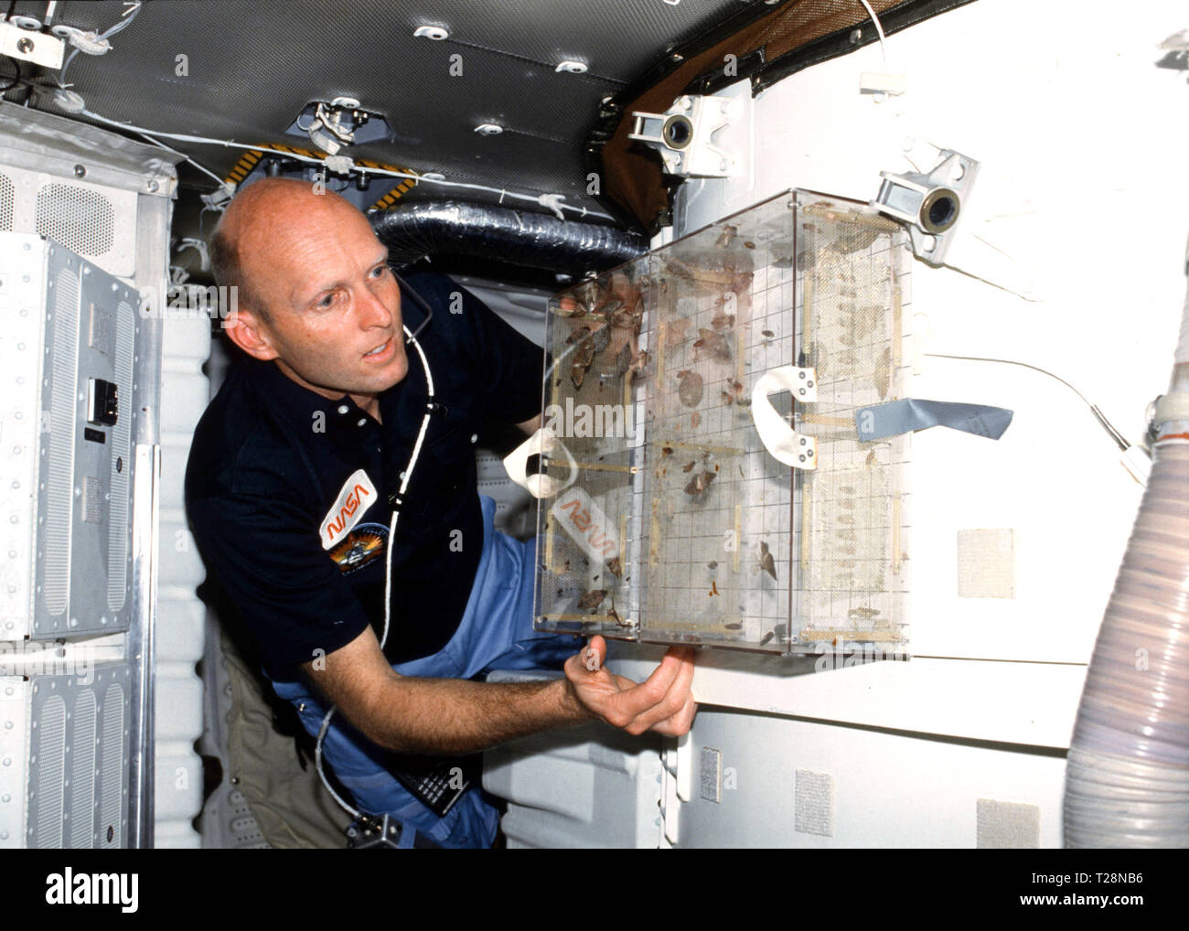 (22-30 mars 1982) --- L'astronaute C. Gordon Fullerton, STS-3, pilote examine l'expérience des étudiants (SE) 81-8-81-8 de vol d'insecte étude Motion scotché sur le sas sur l'arrière compartiment intermédiaire. Todd Nelson, un senior high school de Minnesota, a remporté un concours national de voler son expérience sur ce vol particulier. Les mites, les mouches, et les abeilles ont été étudiés dans un proche d'apesanteur. Banque D'Images