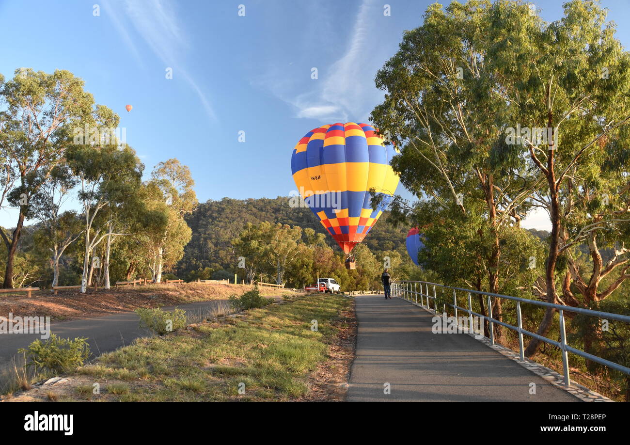 Canberra, Australie - 10 mars 2019. Vol en montgolfière dans l'air au-dessus de Montagne Noire et Tour Telstra, dans le cadre de la spectaculaire Ballon Fes Banque D'Images