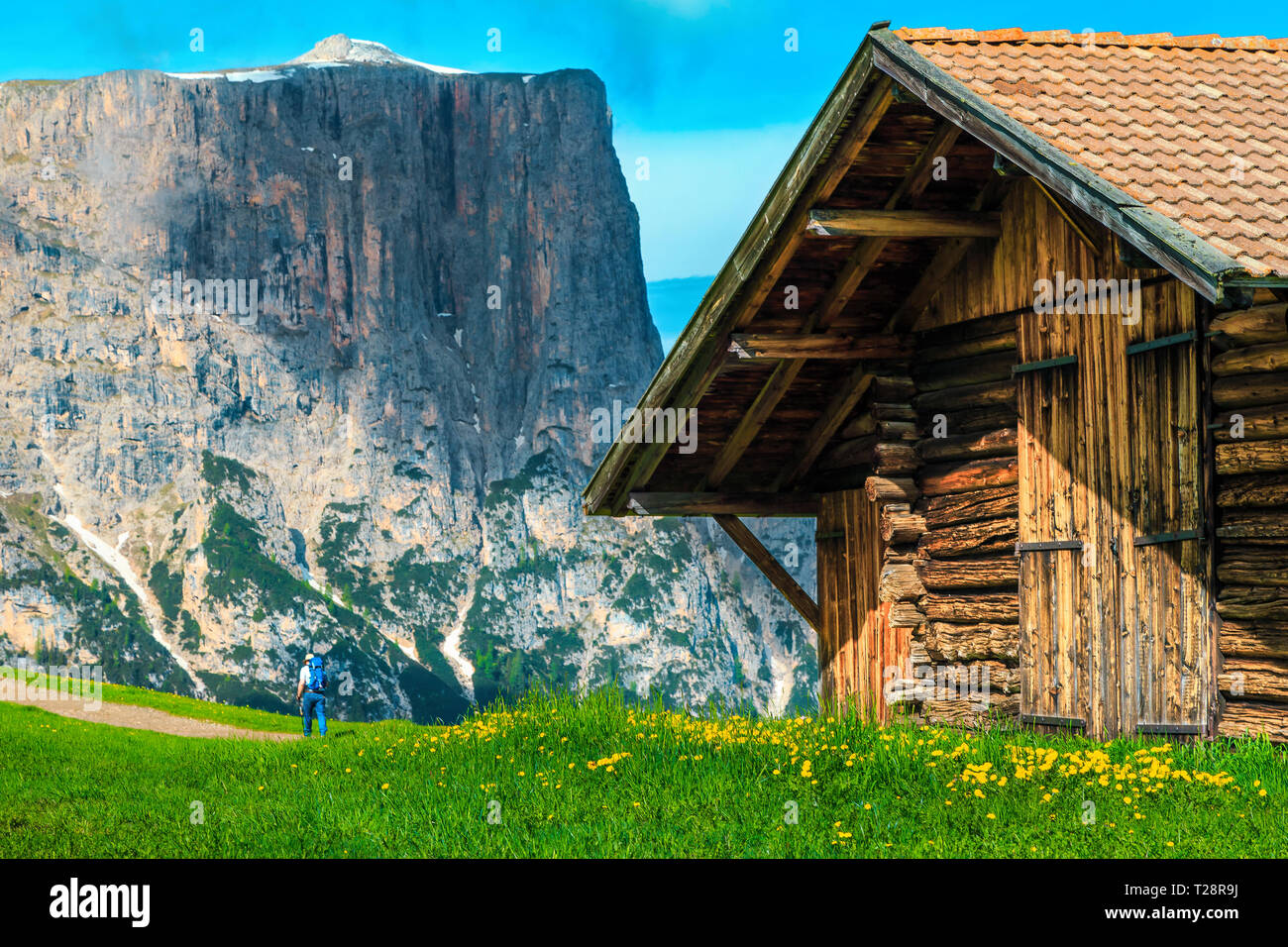 Belle maison de vacances d'été, maison en bois avec alpine traditionnelle et touristique backpacker de hautes montagnes en arrière-plan, à l'Alpe di Siusi Alpe di Siusi - Al Banque D'Images
