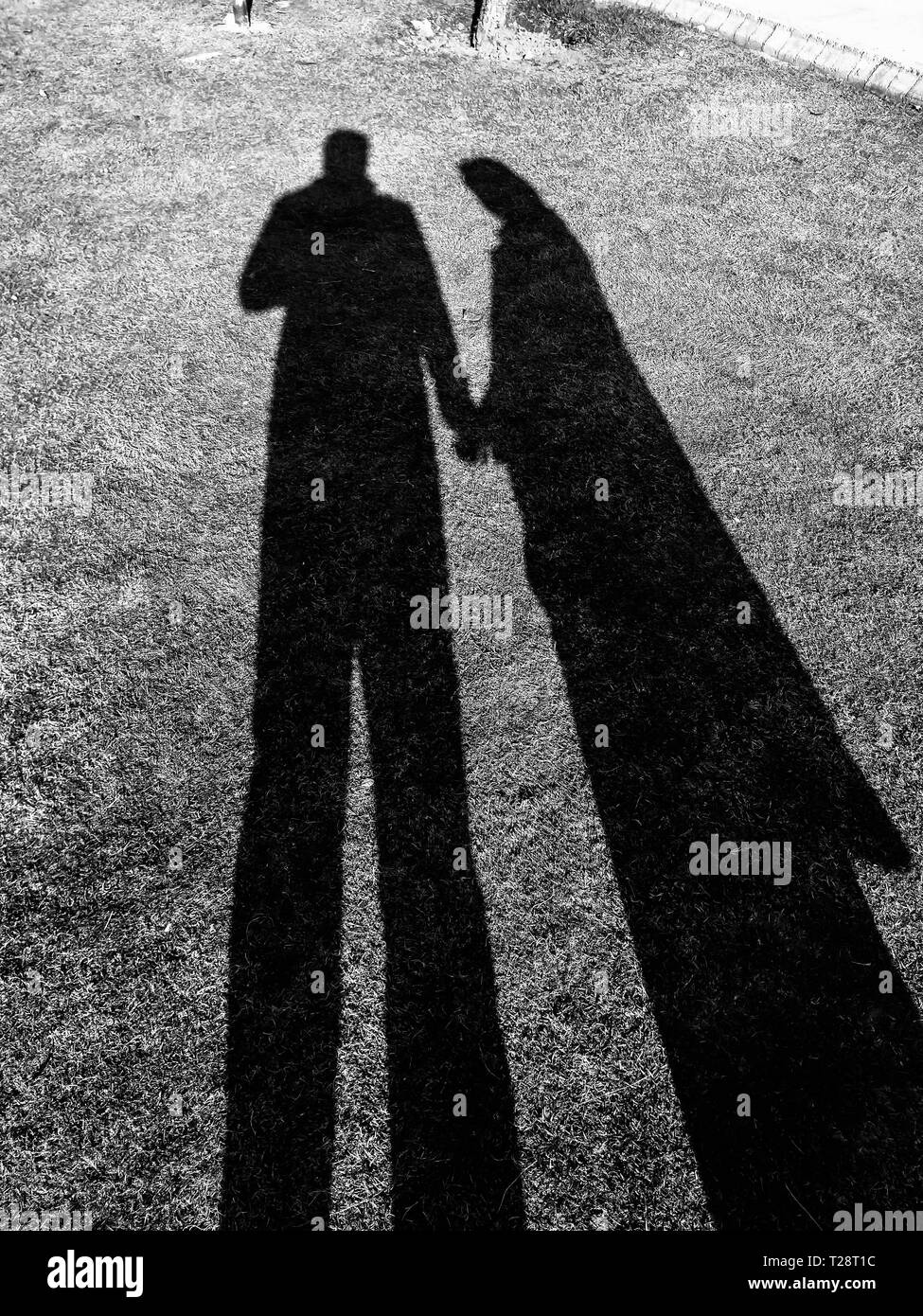 Ombre d'un homme et une femme en amour holding handsin un jardin. Banque D'Images
