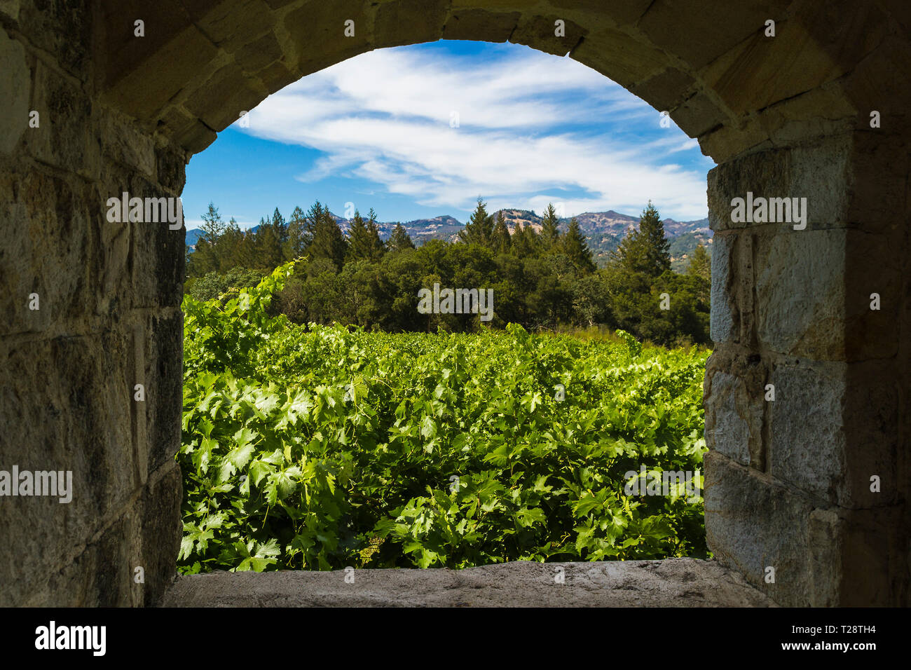 Napa Valley Banque D'Images