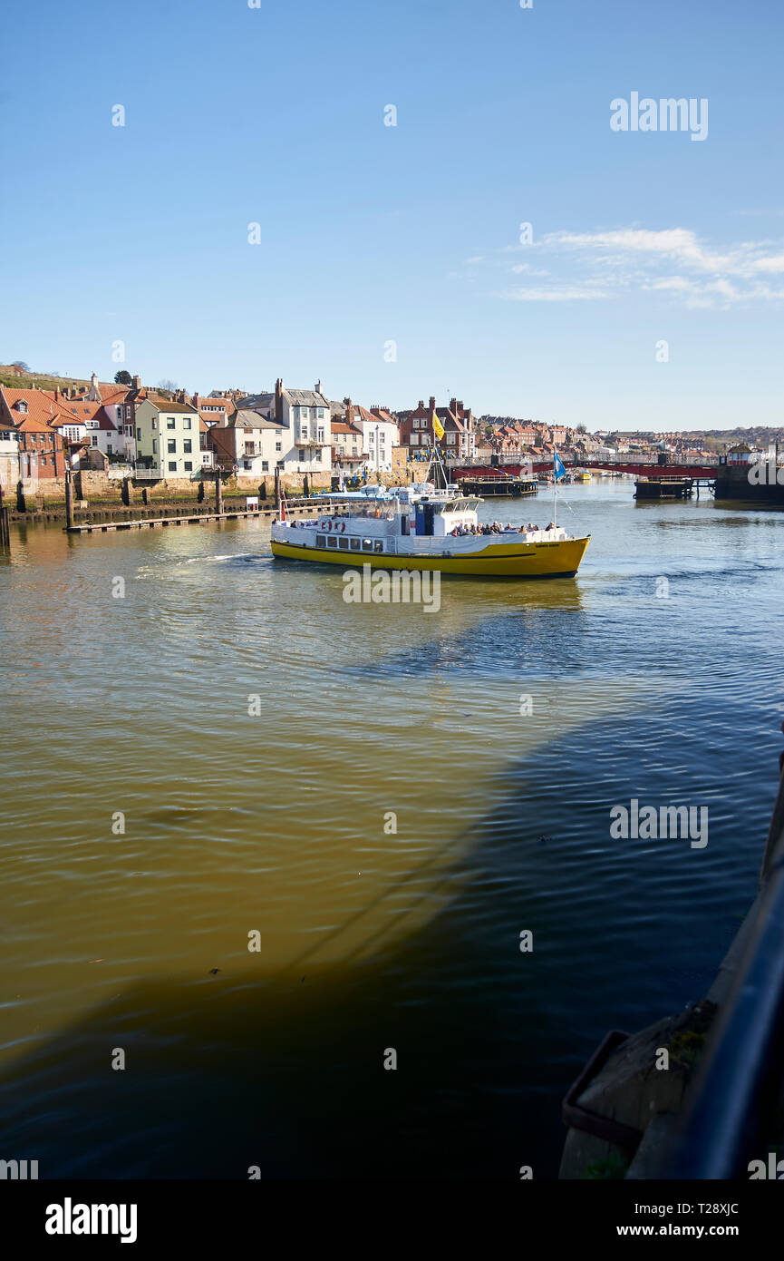 De l'été Reine bateau entrant dans le port de Whitby, North Yorkshire Coast, England, UK, FR. Banque D'Images