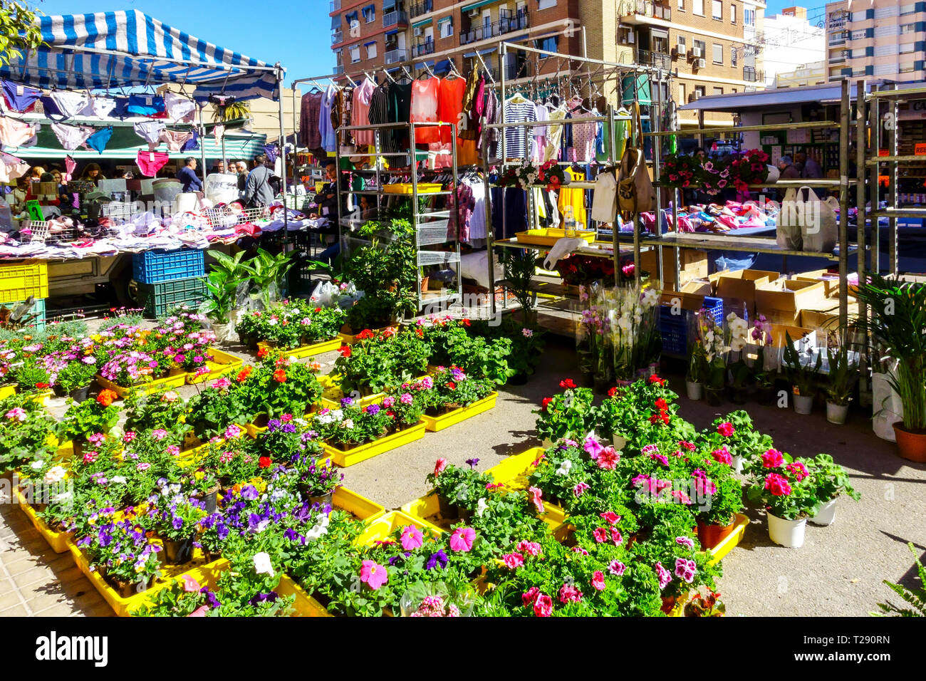 Tous les jeudis dans les rues du quartier El Cabanyal Canyamelar est un marché traditionnel, Valencia Spain Flowers marché hebdomadaire en plein air Banque D'Images