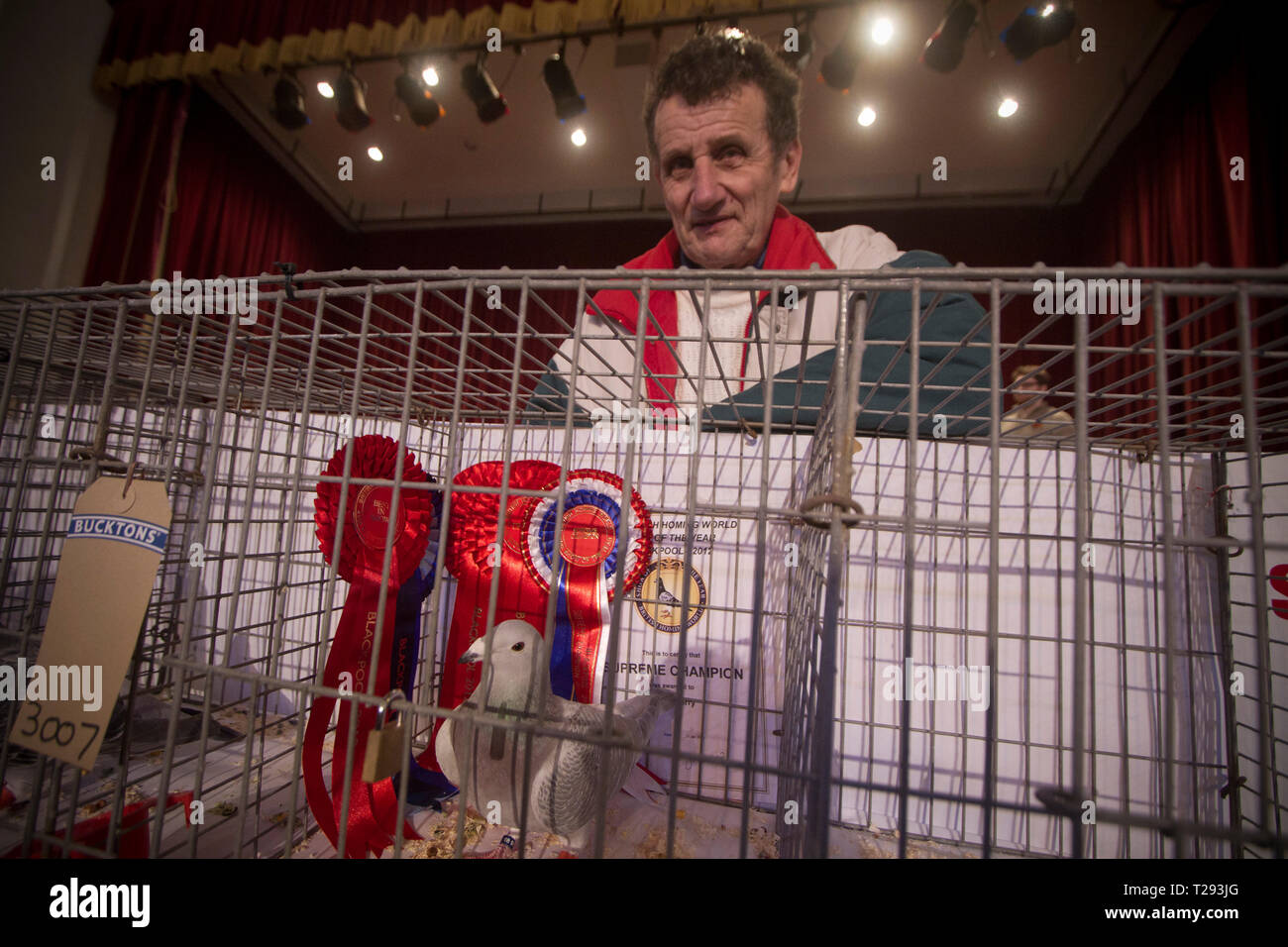 Norman Perry, de Port Talbot, Pays de Galles, en photo avec son pigeonnier qui a remporté le prix du champion suprême à l'assemblée annuelle de l'Association Colombophile Royal Show de l'année aux Winter Gardens, Blackpool. Cette exposition de deux jours a lieu chaque année, à Blackpool et attire 4000 inscriptions de pigeon fanciers de partout dans le monde. L'événement de deux jours a attiré 20 000 spectateurs et concurrents. Banque D'Images