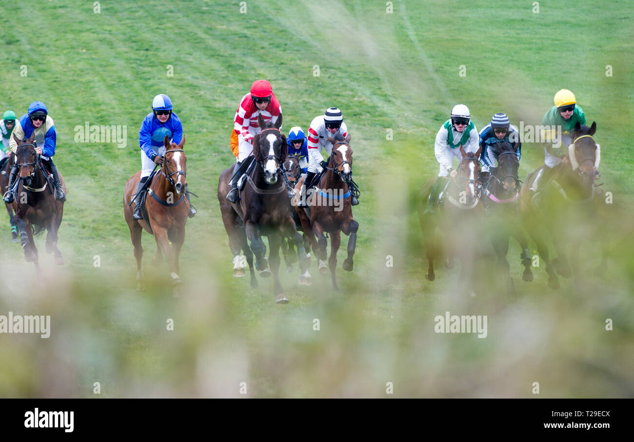 Cotley, blettes, Somerset, Royaume-Uni. Mar 31, 2019. Deshan (GER) monté par B. Approches Moorcroft la clôture finale sur la façon de gagner la métrique & Sheafhayne Peter Manor Ouvrir Maiden Race à l'Cotley Point Chasse-à-point réunion de courses. Crédit : David Partridge/Alamy Live News Banque D'Images