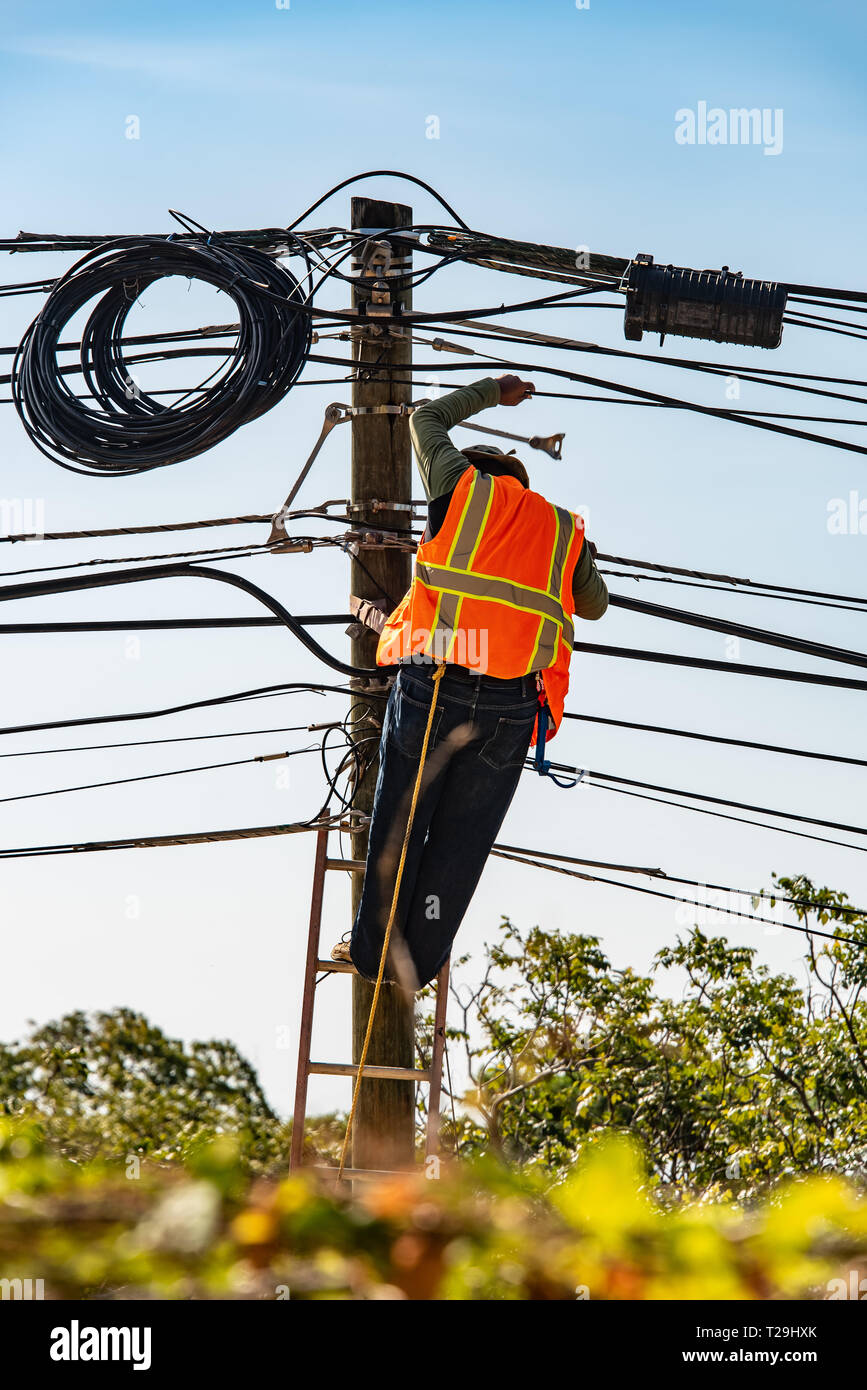 Le joueur de ligne électrique au travail Banque D'Images