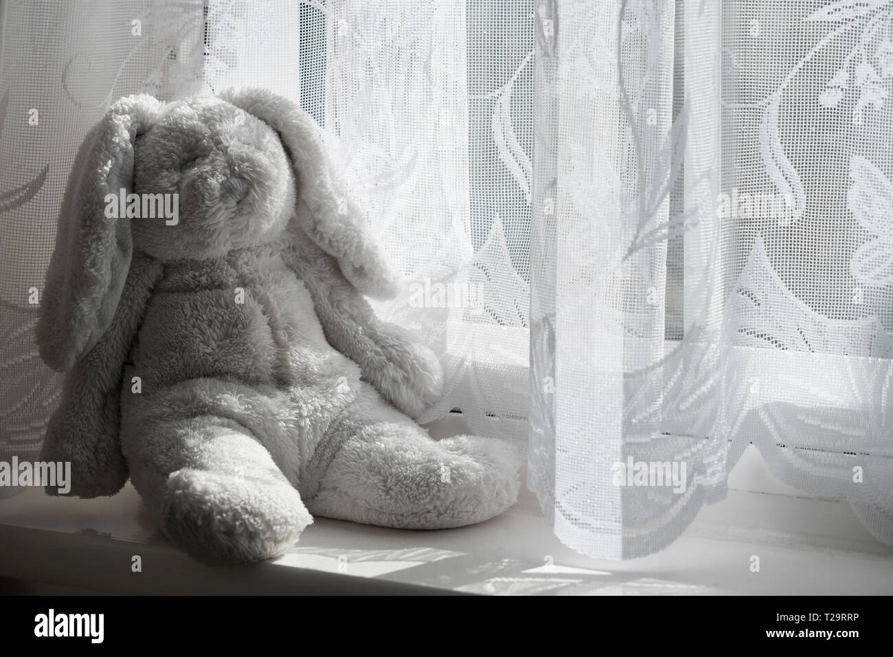 Un doudou lapin éclairé par la lumière de la fenêtre sur un rebord de fenêtre. Banque D'Images