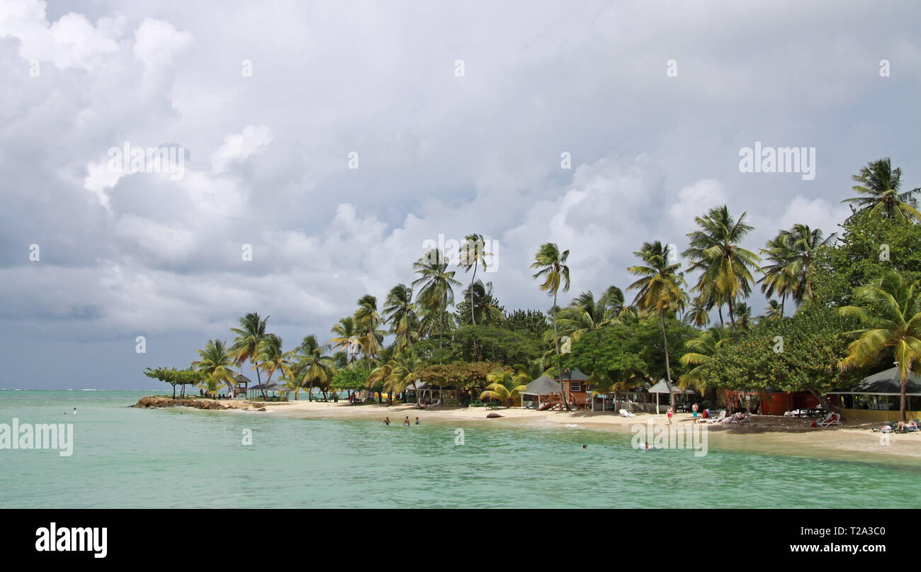 La ligne de côte à Pigeon Point (Tobago, West Indies) le matin Banque D'Images