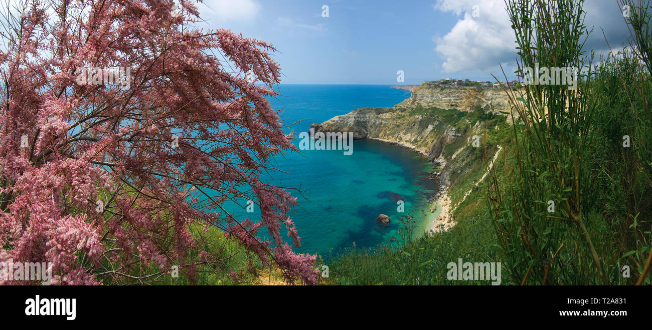 Panorama d'un paysage de la côte sud de la mer Noire sur la péninsule de Crimée. L'Europe. Crimée. format horizontal. Banque D'Images