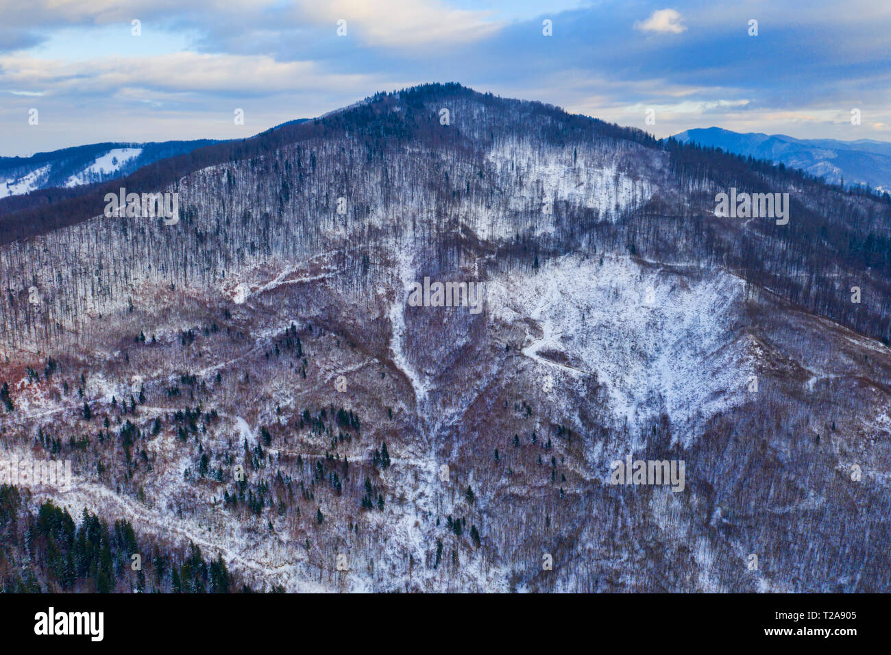 Drone vue sur la forêt, paysage d'hiver. Banque D'Images