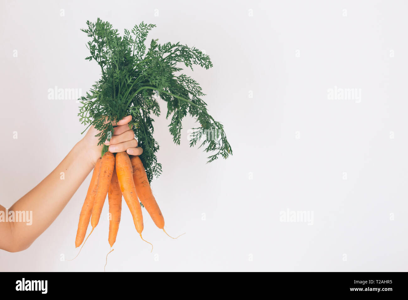 Main de young man holding carrots Banque D'Images