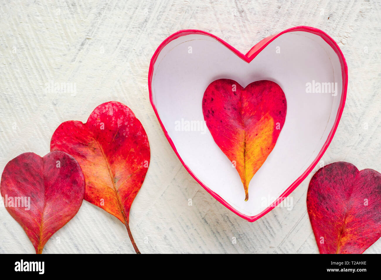 Feuilles en forme de coeur rouge et le bol Banque D'Images