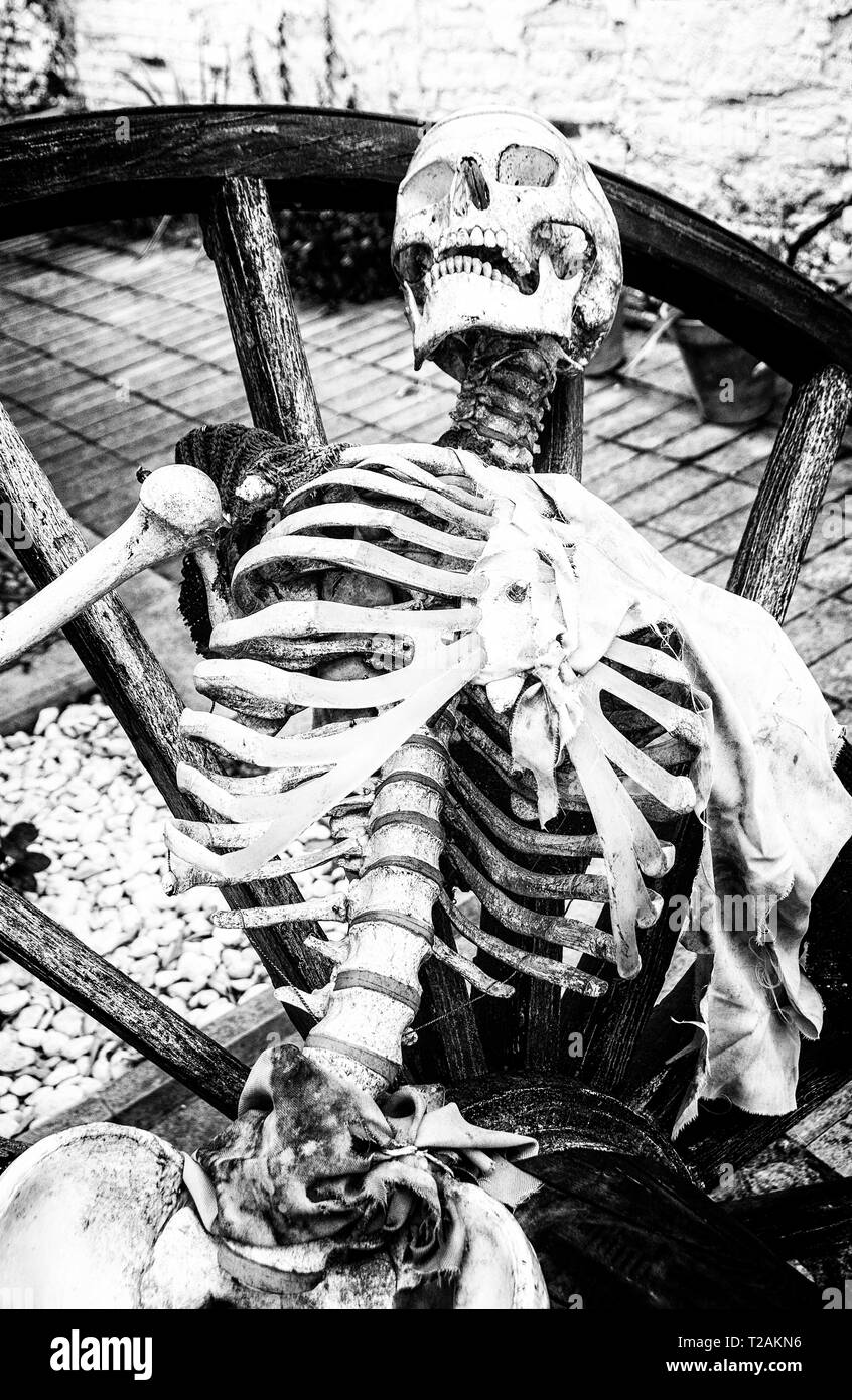 Un squelette montré dans un appareil de torture ; où il était pratique courante au cours de l'Inquision espagnol, au cours de la période médiévale. Banque D'Images