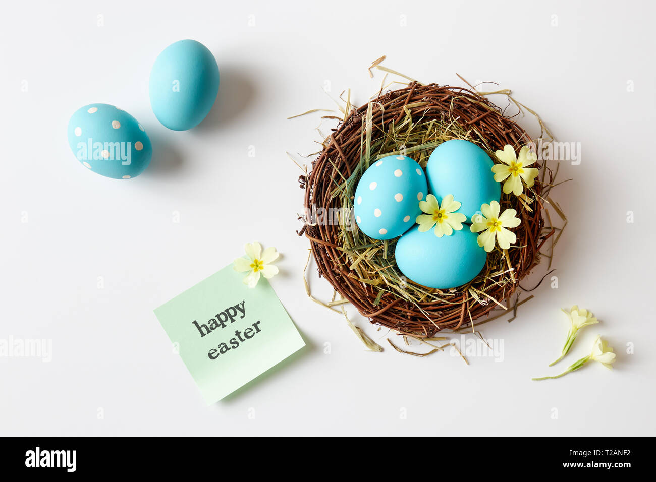 Décoration de pâques avec nid, les oeufs et les fleurs de printemps. Oeufs de Pâques en bleu avec nid 'Joyeuses Pâques' message. Banque D'Images