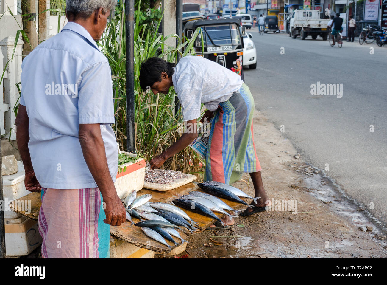 Le Weligama, Sri Lanka, 2018-01-09 : Le Vendeur et l'acheteur au guichet avec des poissons par la route. Les hommes en tenue traditionnelle du Sri Lanka - sarong. Street photo Banque D'Images