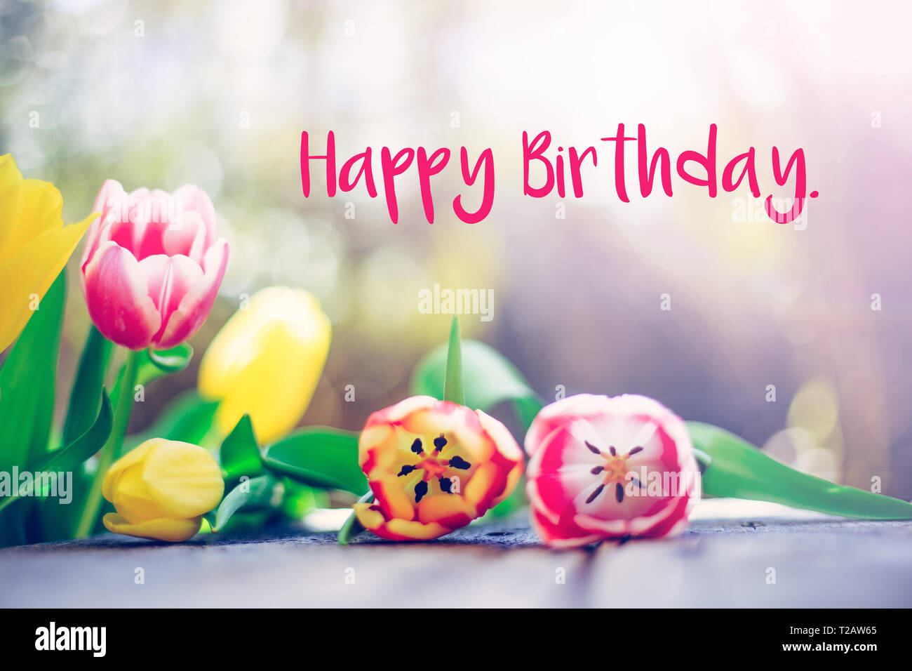 Happy Birthday Spring Flowers Banque D Image Et Photos Alamy Happy Birthday Spring Flowers Banque D Image Et Photos Alamy