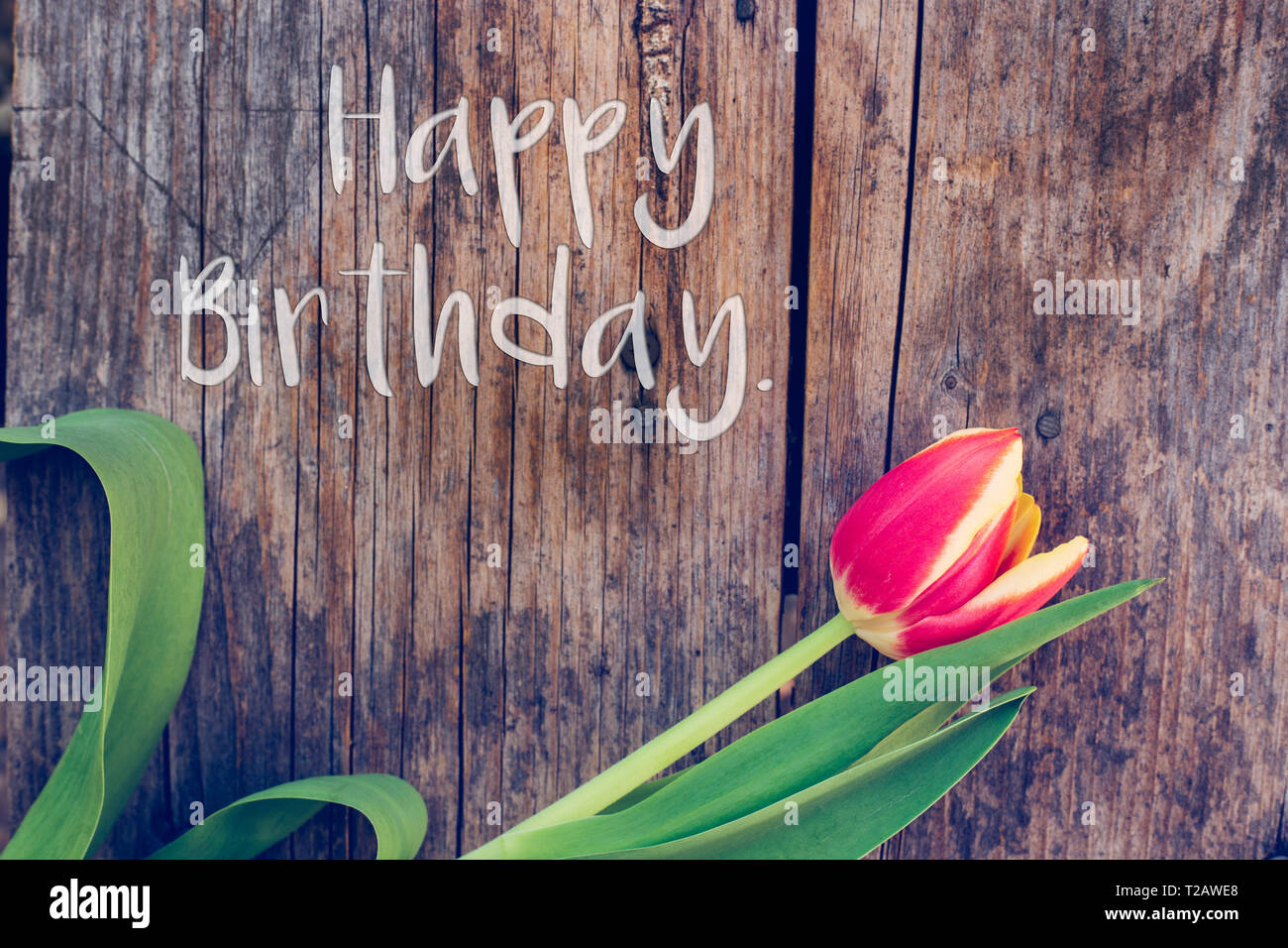 Happy Birthday Colorful Spring Flowers Banque D Image Et Photos Alamy Happy Birthday Colorful Spring Flowers Banque D Image Et Photos Alamy