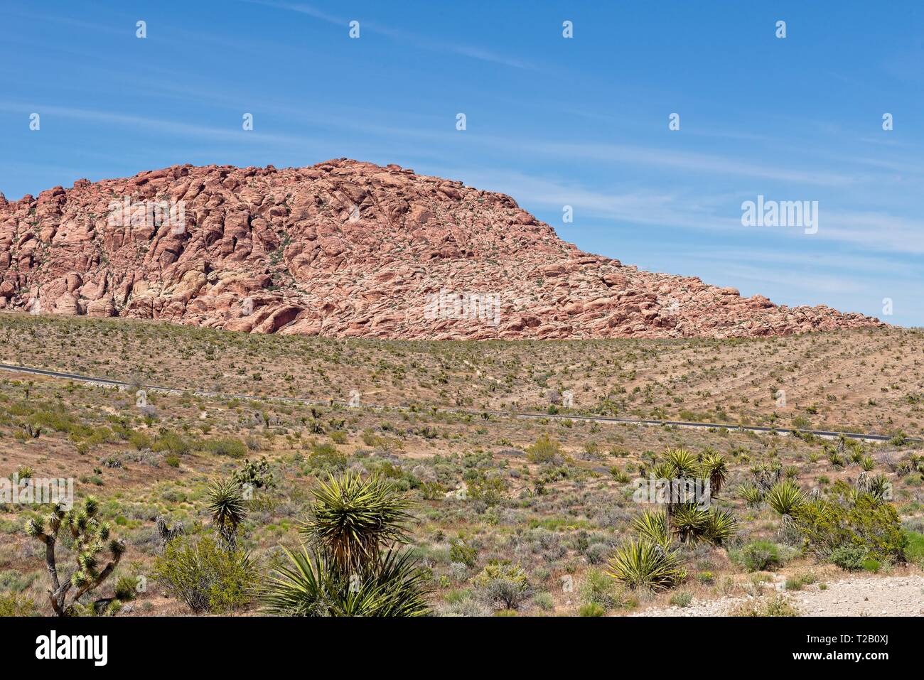 Sur la montagne au Red Rock Canyon Nature Conservancy Banque D'Images