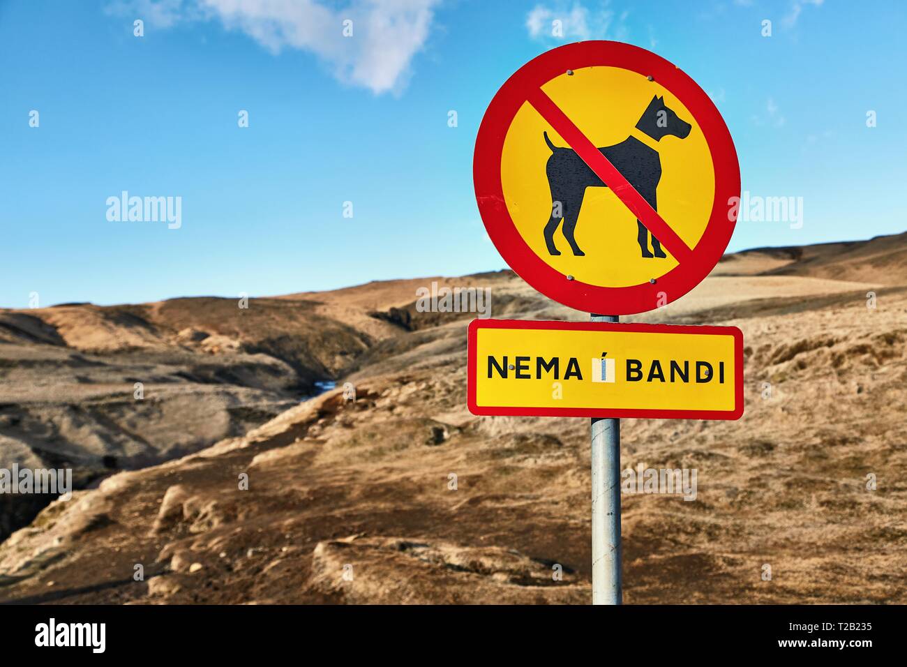 Interdit les chiens sans laisse en Islande Banque D'Images