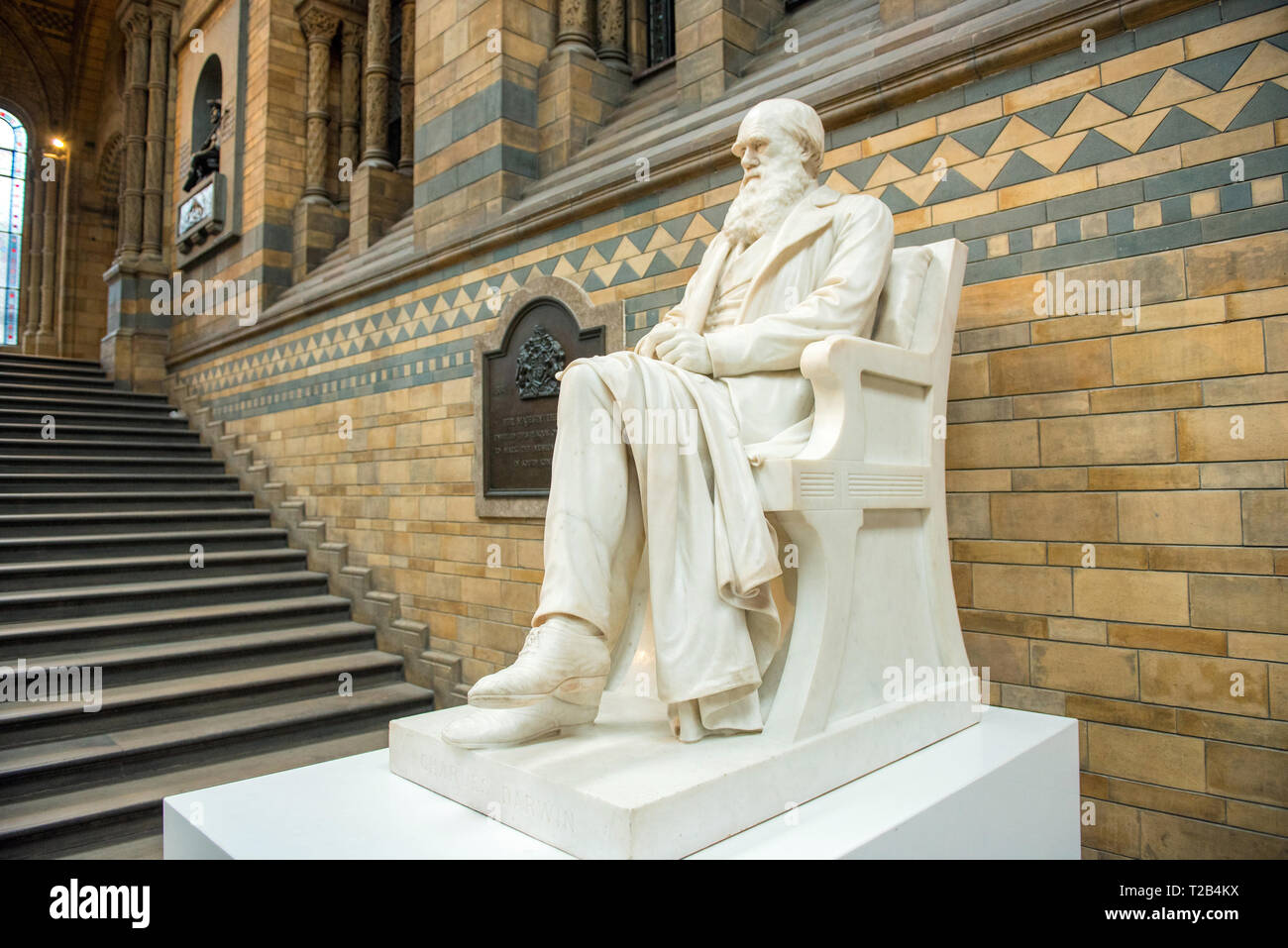 Londres, Royaume-Uni - 22 mars 2019 : La statue de Charles Darwin au Natural History Museum a été inaugurée en 1885 sur l'escalier principal dans Hintze Hall Banque D'Images