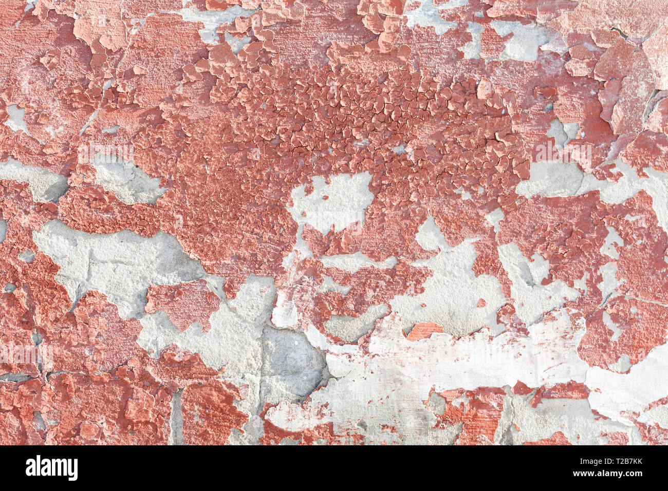 Mur texture background rose Banque D'Images