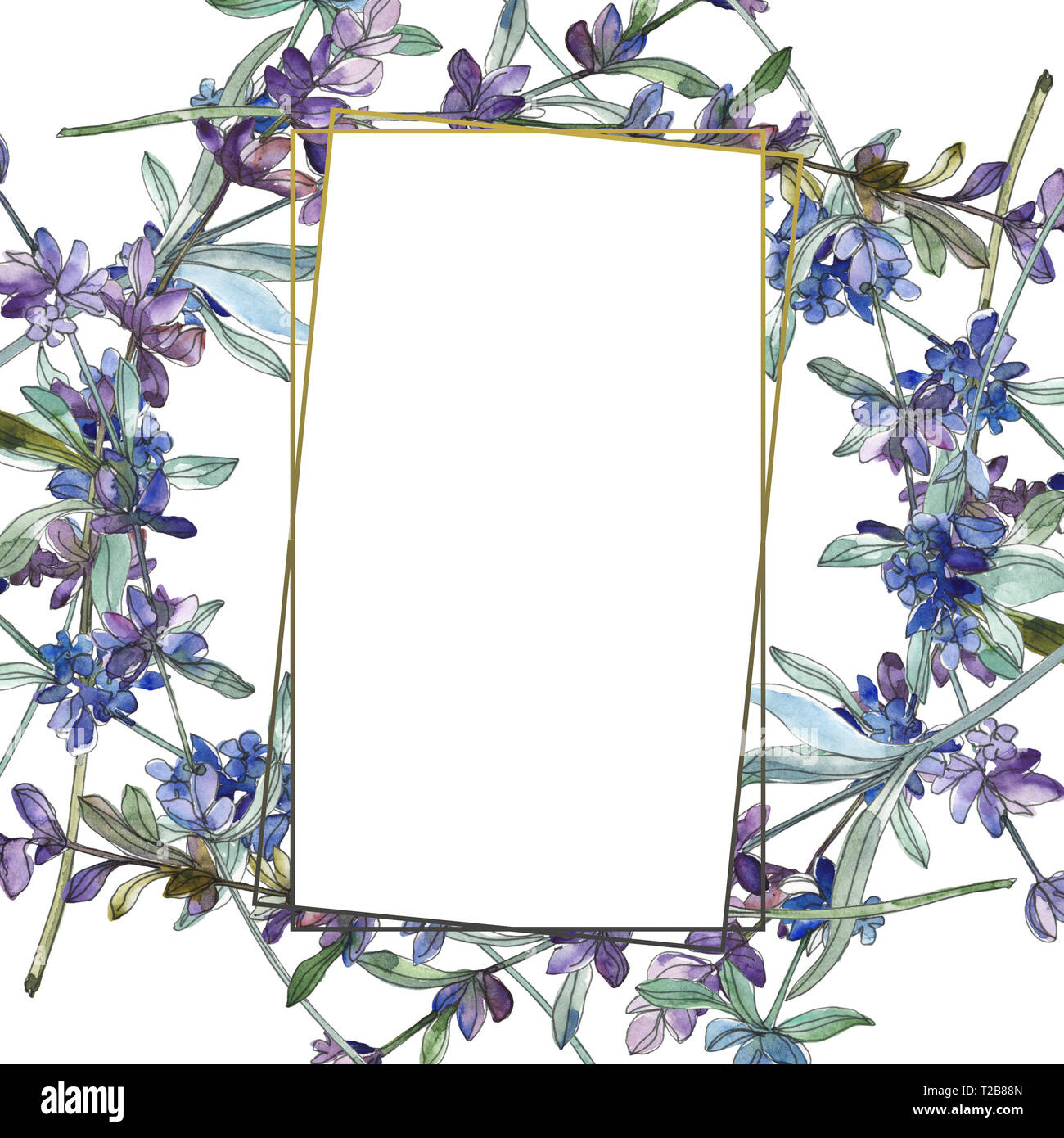 Lavande mauve fleur botanique floral. Contexte aquarelle illustration set.  Bordure de cadre carré ornement Photo Stock - Alamy