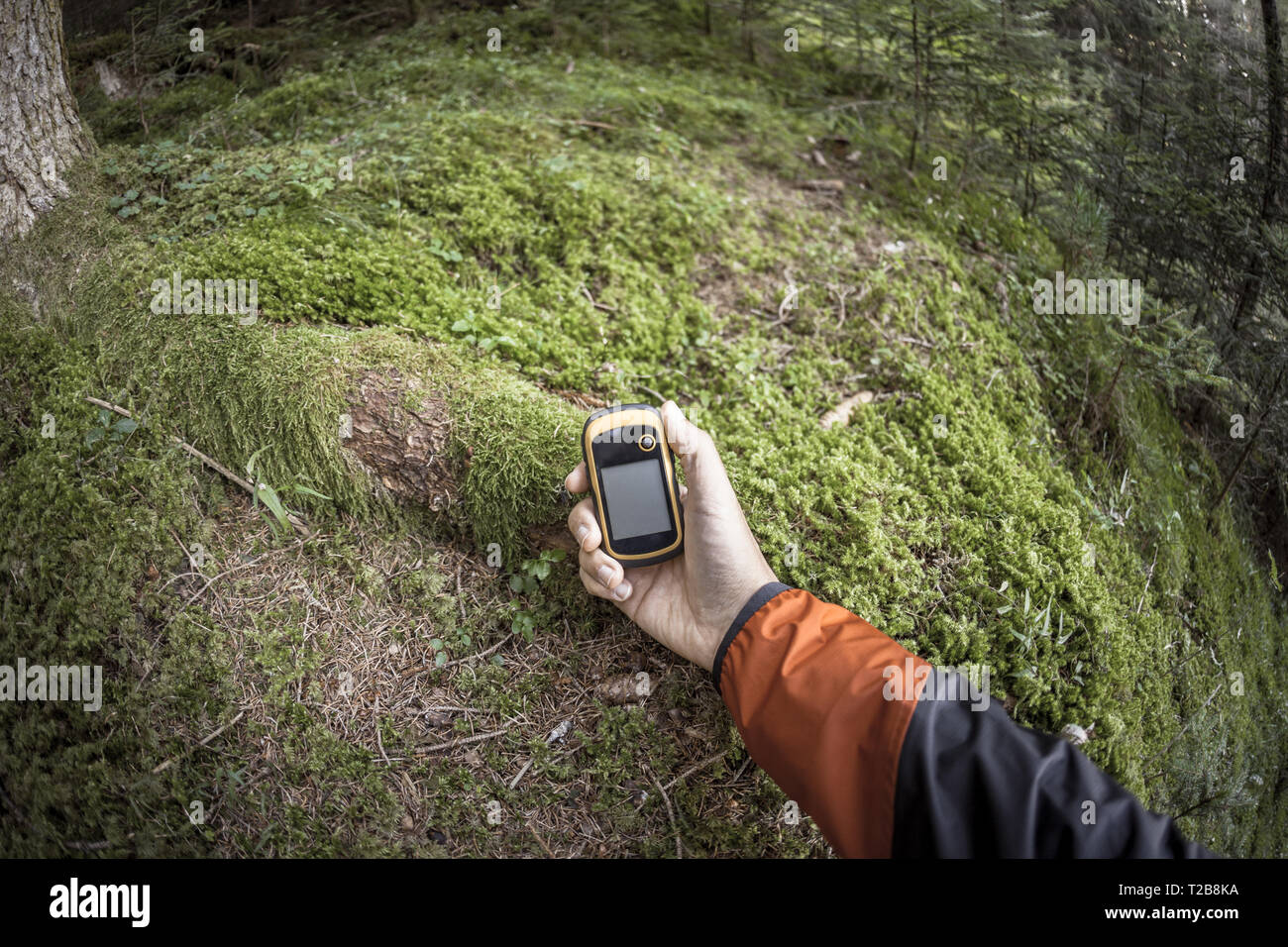 A l'aide du GPS Trekker parmi la forêt dans un jour nuageux Banque D'Images