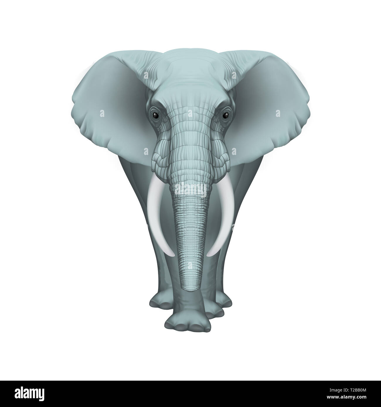 Vector Illustration réaliste avant d'éléphants africains - Design symétrique Banque D'Images
