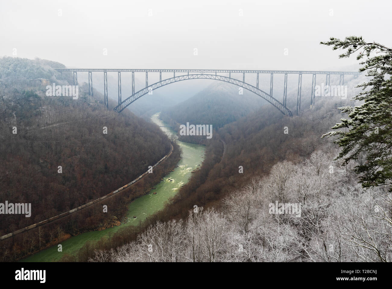 Givre s'accroche aux arbres de la rim du canyon New River Gorge comme un lointain pont sur sa longueur éphémère apparaît entouré d'une épaisse fo Banque D'Images