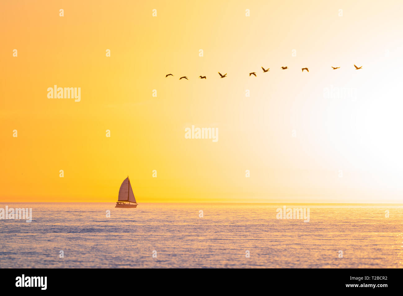 Un voilier est perçu à partir de la plage de Fort Myers, Floride la voile vers le soleil clair contre un ciel clair dans l'océan ouvert avec une ligne d'oiseaux volant abo Banque D'Images