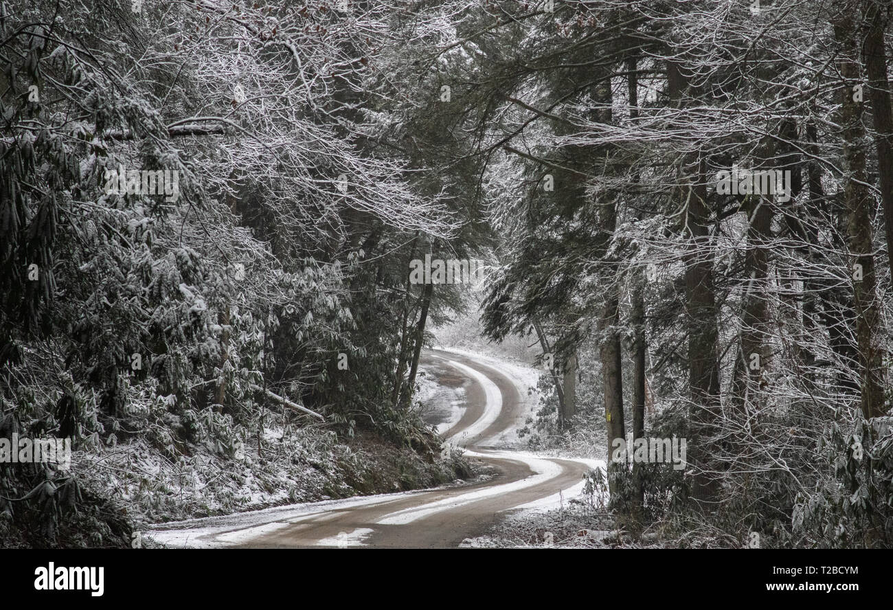 Un chemin de terre sinueux entouré par la forêt et la neige à travers la campagne dans le comté de Fayette, West Virginia Banque D'Images