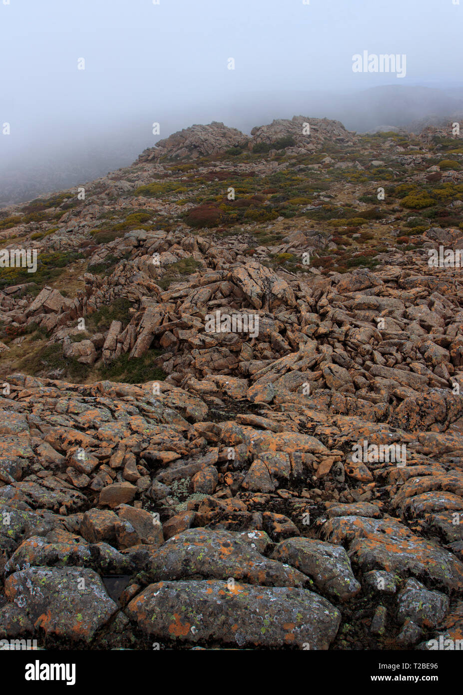 Rouler dans les nuages sur un éboulis de roches sur la petite voie d'éveil de l'enfer à Ben Lomond National Park dans le nord de la Tasmanie. Banque D'Images