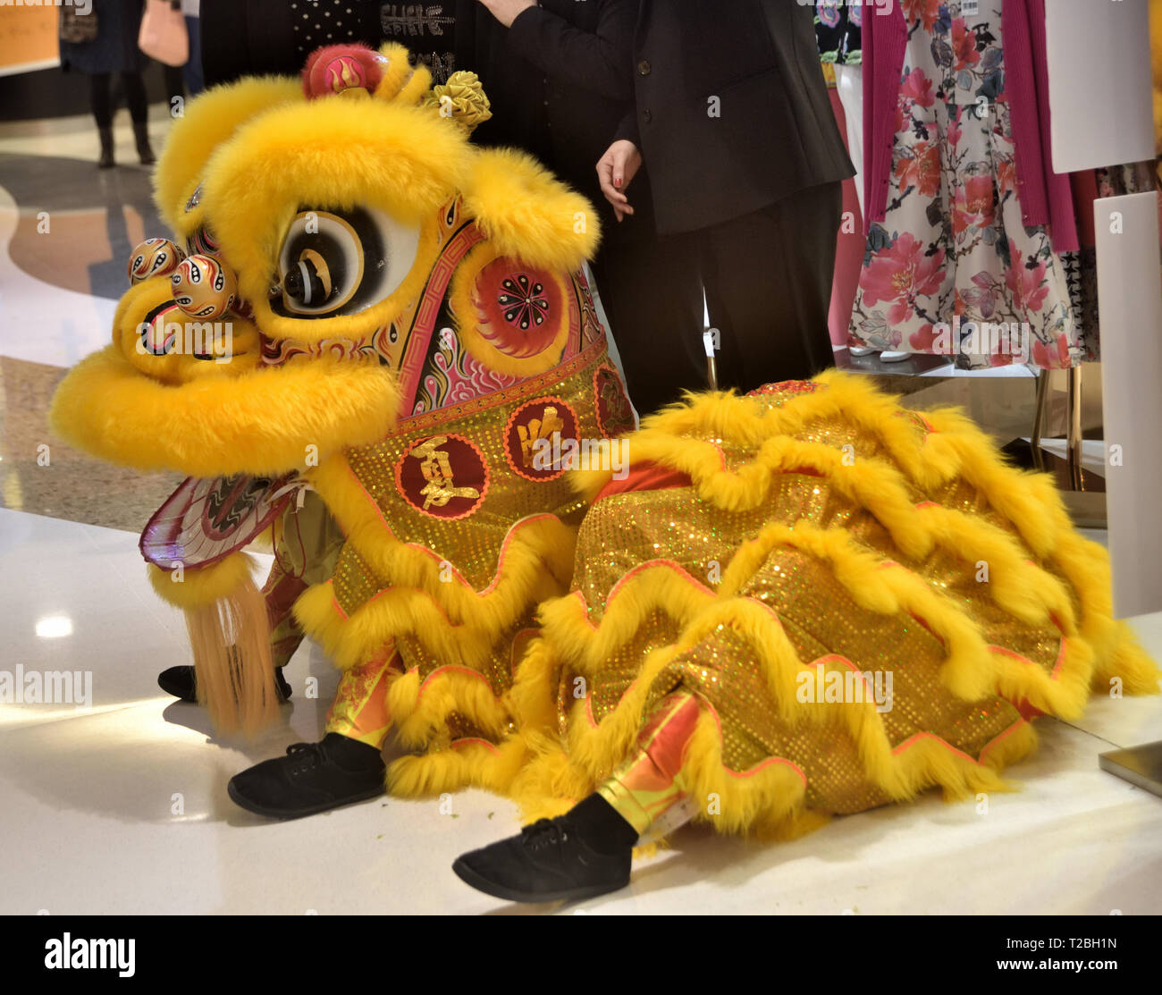 Assis sur un Lion Chinois posent au cours de danse. Banque D'Images