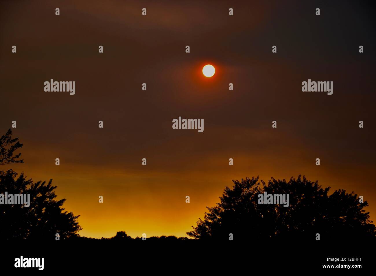 Coucher du soleil en Floride. Banque D'Images