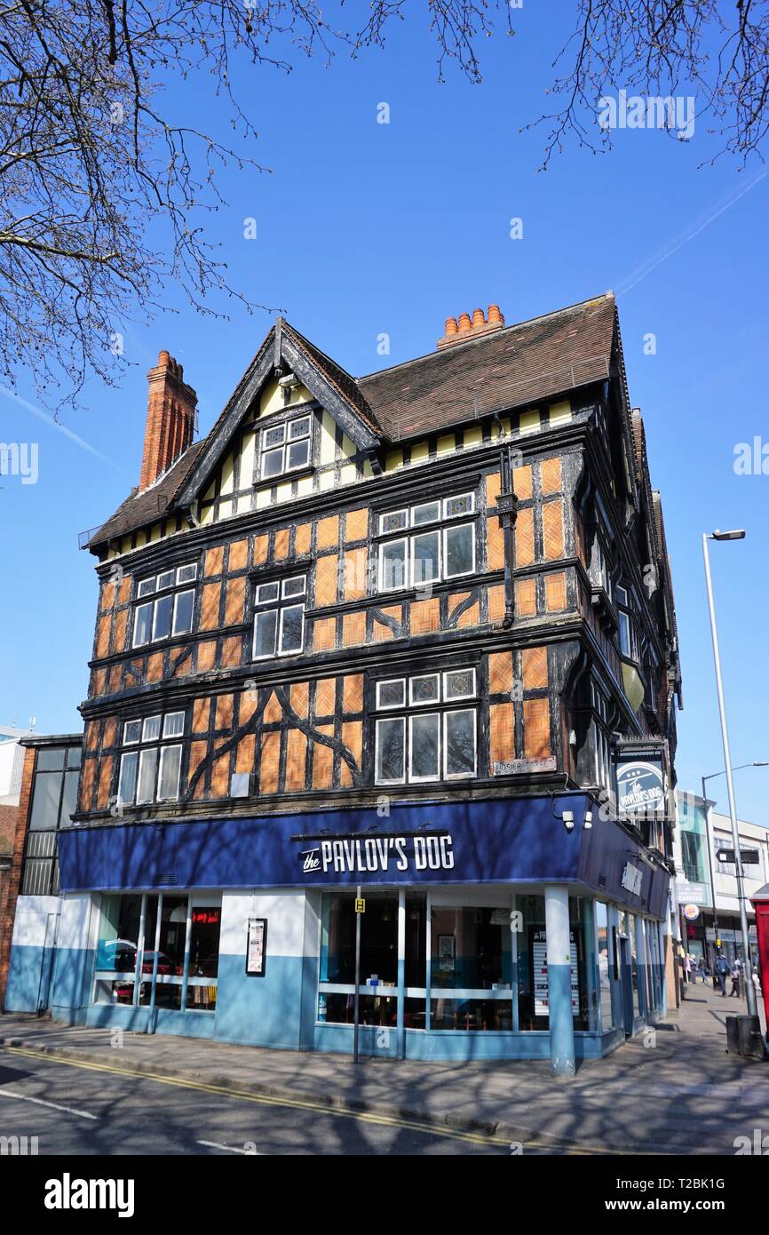 Le chien de Pavlov pub à Reading, Royaume-Uni Banque D'Images