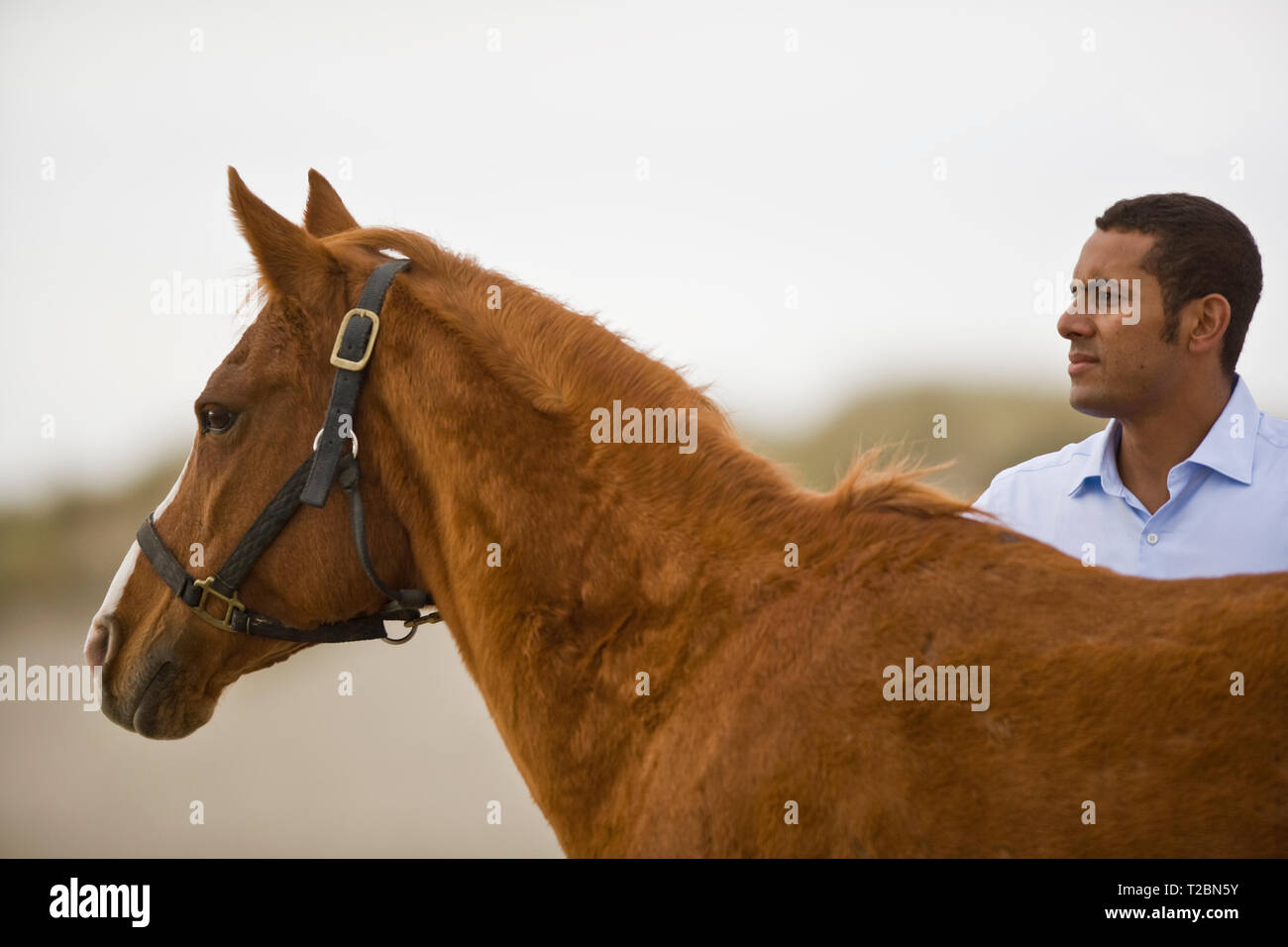 Mid-adult man debout à côté d'un cheval sur une plage. Banque D'Images
