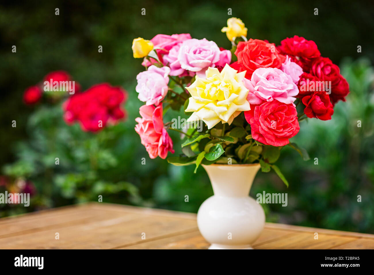 Romantique rose fleurs dans vase blanc rétro sur table en bois, un jardin extérieur arrière-plan. Le jardinage et les thèmes d'été Banque D'Images