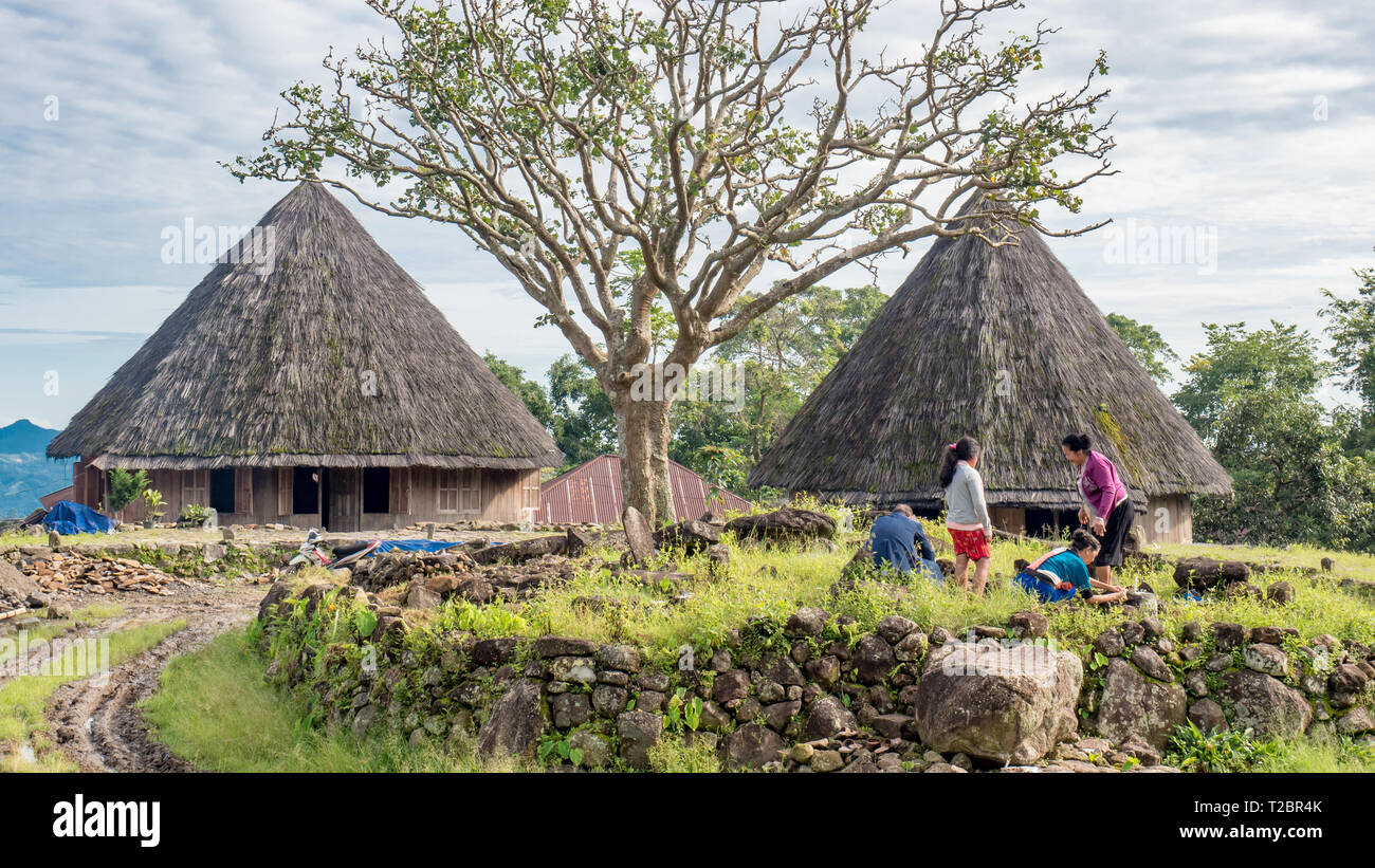 Ruteng Puu village traditionnel, l'île de Flores, en Indonésie. La famille indonésienne faire visite à la tombe de leurs ancêtres. Mode de vie ruraux en Asie Banque D'Images Ruteng Puu village traditionnel, l'île de Flores, en Indonésie. La famille indonésienne faire visite à la tombe de leurs ancêtres. Mode de vie ruraux en Asie Banque D'Images
