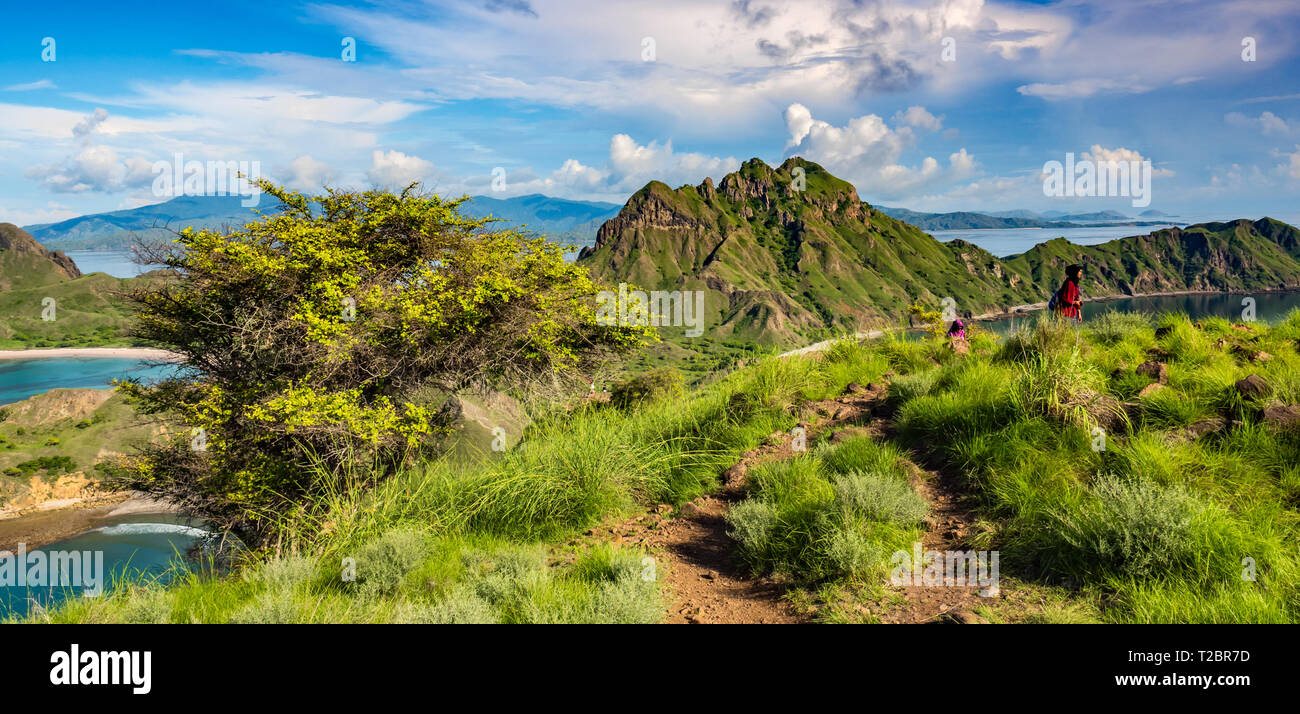 Vue aérienne de collines à Pulau Padar island dans les îles de Komodo, Rinca et entre près de Labuan Bajo en Indonésie. Banque D'Images Vue aérienne de collines à Pulau Padar island dans les îles de Komodo, Rinca et entre près de Labuan Bajo en Indonésie. Banque D'Images