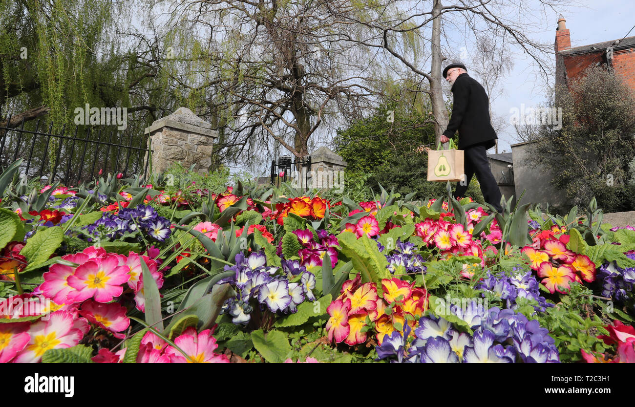 Des fleurs en pleine floraison à l'entrée à Ranelagh Gardens Park à Dublin Banque D'Images